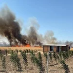Tekirdağ’da tarlada çıkan yangın baraka ve konteynerlere sıçradı
