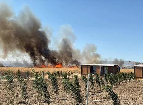 Tekirdağ’da tarlada çıkan yangın baraka ve konteynerlere sıçradı