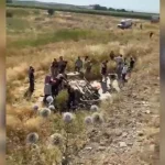 Şanlıurfa’da feci kaza! Otomobil şarampole yuvarlandı: Ölü ve yaralılar var