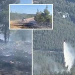 Gaziantep’te orman yangını! Havadan ve karadan müdahale