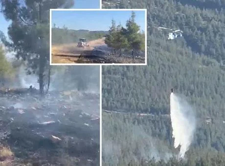 Gaziantep’te orman yangını! Havadan ve karadan müdahale