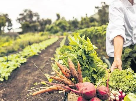 Tarlada ‘4.0’ dönemi! Çiftçiye tarladan anlık bilgi