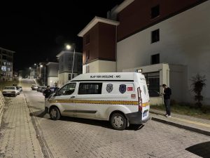 Kayınpeder damadını öldürdü