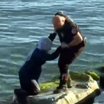 Polislerin dikkati faciayı önledi: Denize düşen kadın kurtarıldı