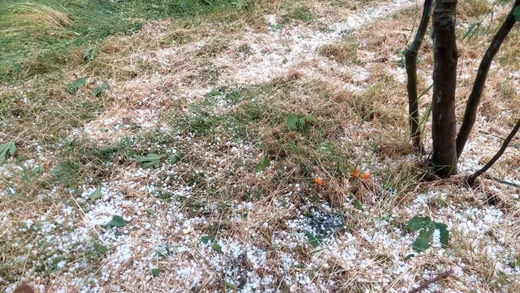 Aydında dolu etkili oldu, ağaçlar zarar gördü