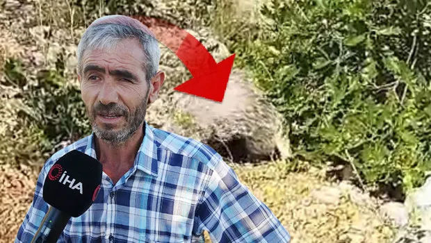 Malatya’da Bal Porsuğu Saldırısı: Mantar Toplayan Adam Demir Çubukla Hayvanı Bayılttı