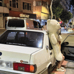 Pelüş ayıyla şehir turu cezasız kalmadı! Otomobil otoparka çekildi