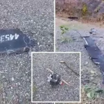 Trabzon'da İHA paniği! Düşüp infilak etti, içinden 5 kilo patlayıcı çıktı
