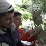 Kilosu bu yıl tam 3 bin lira oldu! Hasat eden paraya para demiyor: 40 yıldır bu işi yapıyorum
