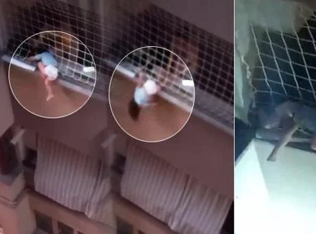 Denizli’de yürekleri ağza getiren kayıt! Çığlık çığlığa çaresizce izlediler