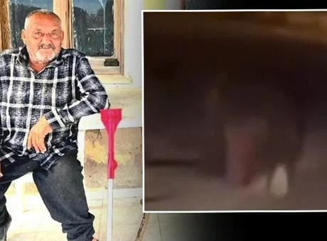 Balkondan alıp 20 metre sürükledi! İzmir’de ayı dehşeti… Yaşlı adam hayatını kaybetti