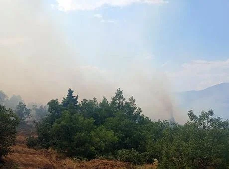 Malatya’da orman yangını: Ekipler seferber oldu