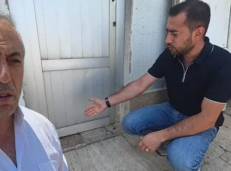 Yağmur sonrası ortaya çıktılar: Bu bir hikmet mi, başka bir şey mi diyelim, bilemedim