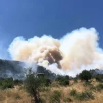 Balıkesir Kepsut’ta orman yangını: Rüzgar alevleri hızla yaydı