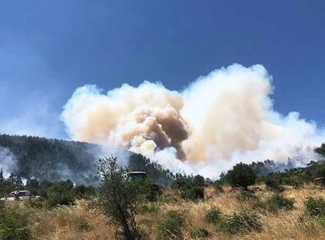 Balıkesir Kepsut’ta orman yangını: Rüzgar alevleri hızla yaydı
